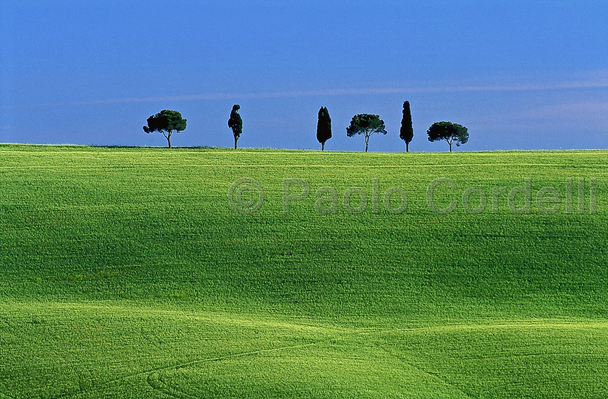 Hill, Tuscany, Italy
(cod:Tuscany 10)